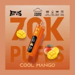 ATVS Shisha 70K image 2