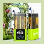 Bang 60K Refillable image 1