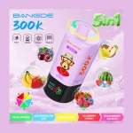 Bang DE 300K 5-in-1 image 2