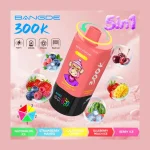 Bang DE 300K 5-in-1 image 3