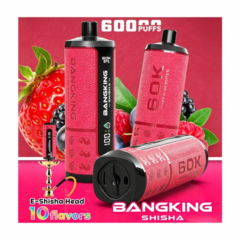 Bang King DTL Shisha 60K wholesale – buy in bulk from Euro Vapes Germany