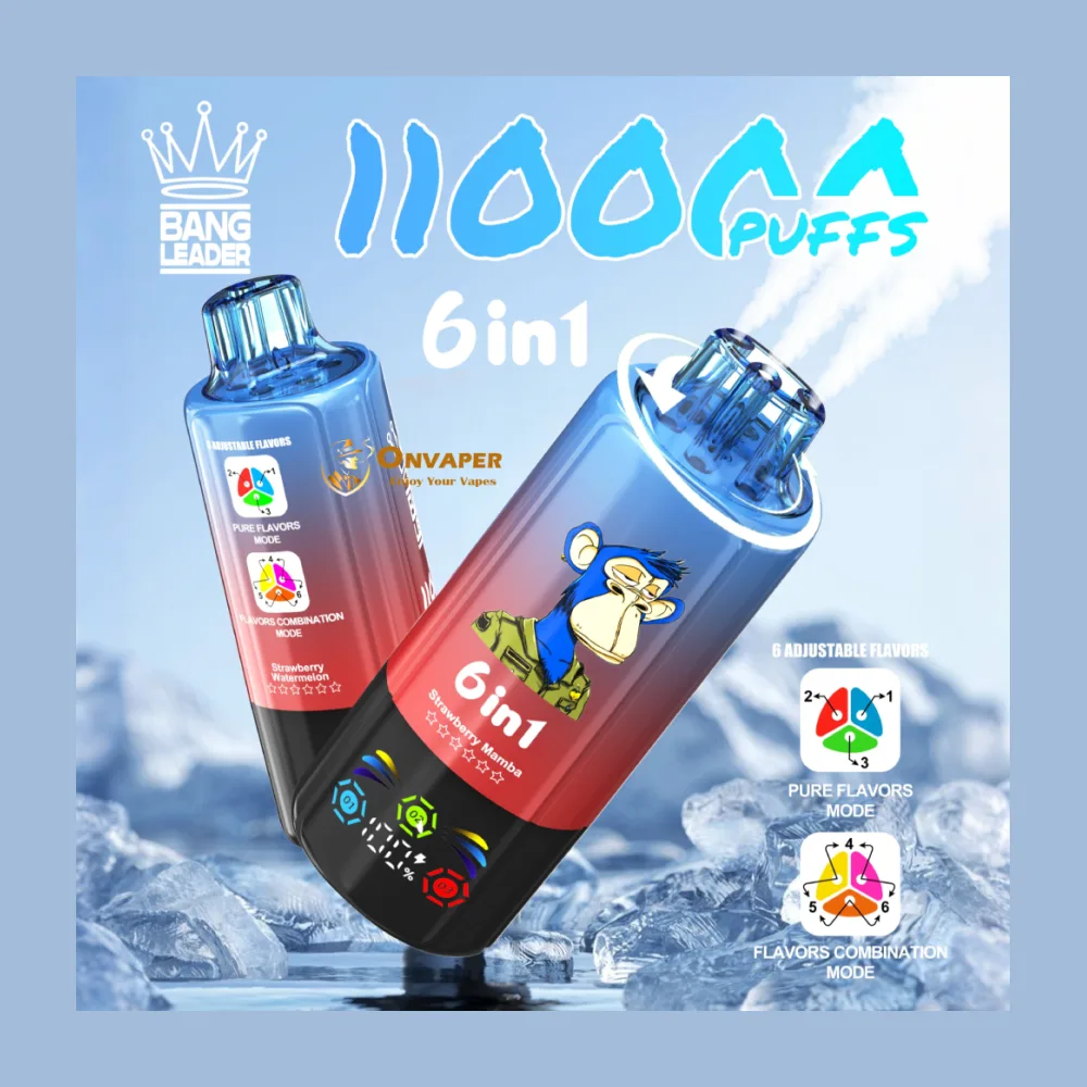 Bang Leader 110K 6-in-1 wholesale – buy in bulk from Euro Vapes Germany