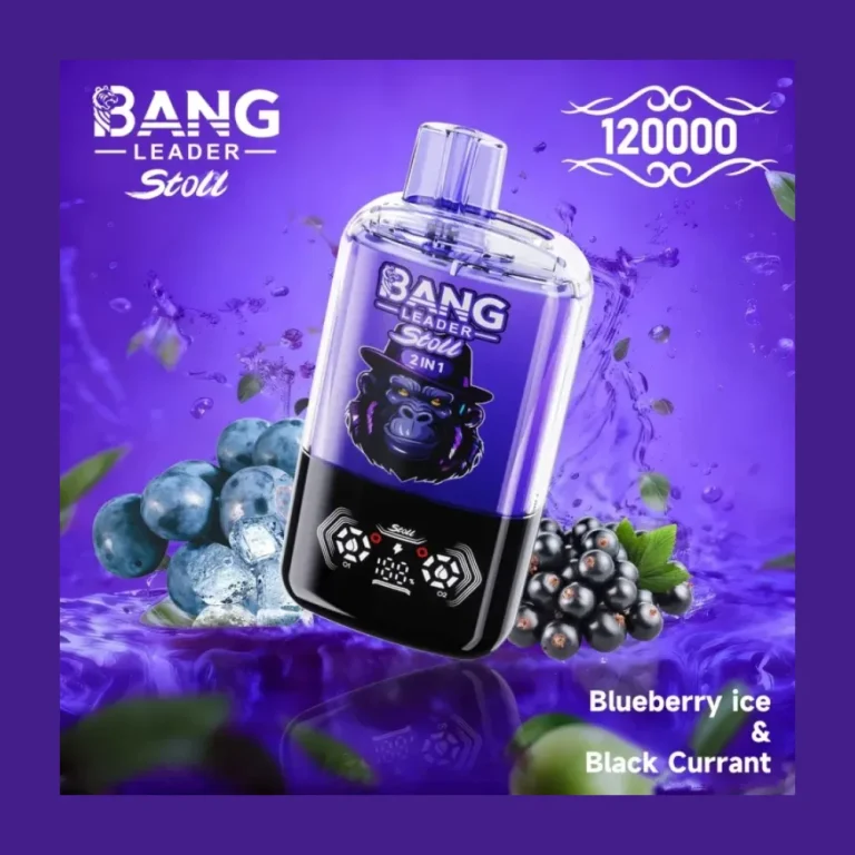 Bang Leader 120K Dual Flavour wholesale – photo 3