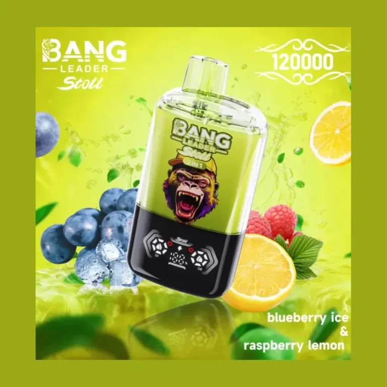 Bang Leader 120K Dual Flavour wholesale – photo 4