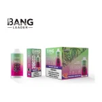 Bang Leader 20000 image 2