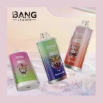 Bang Leader 20000 image 1