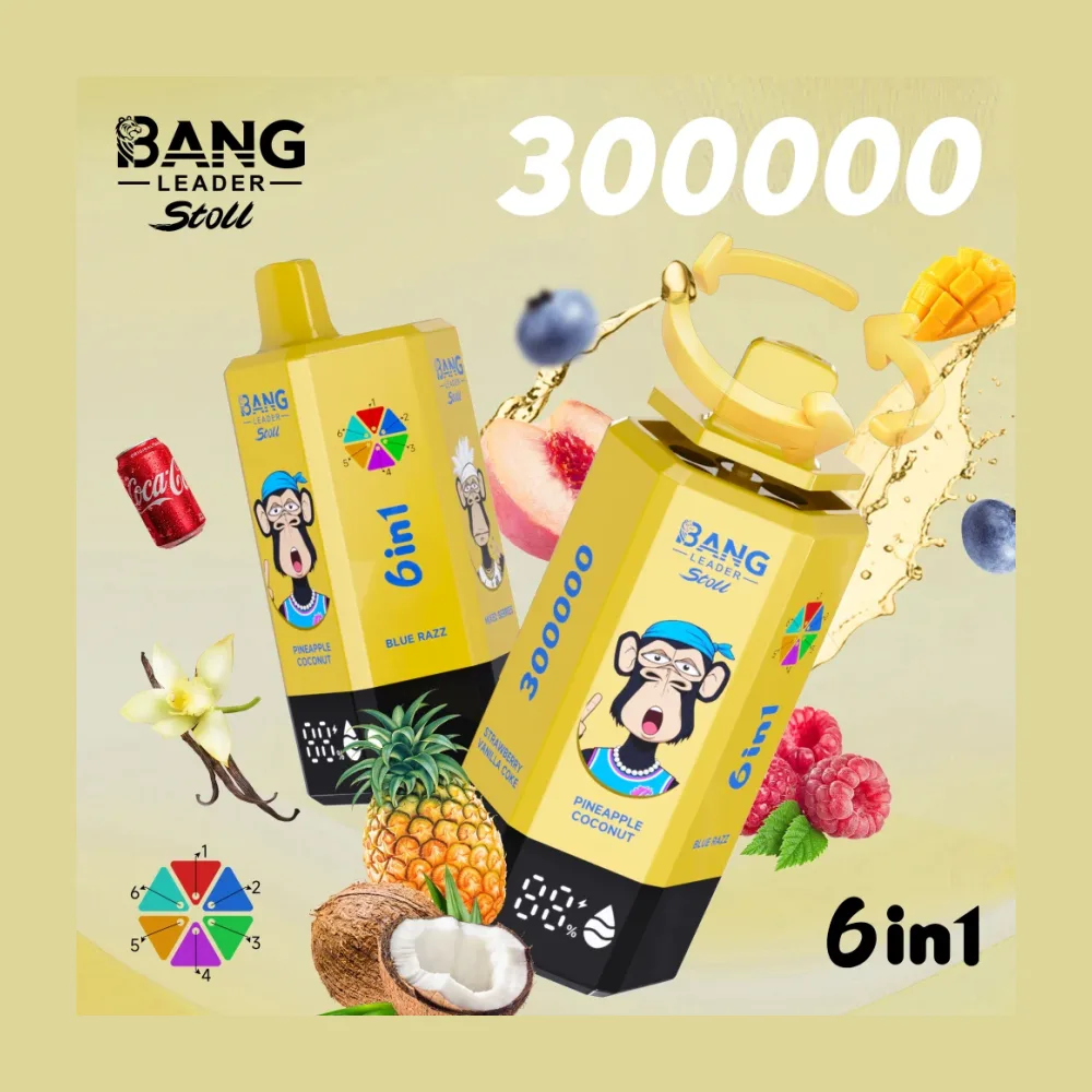 Bang Leader 300K 6-in-1 wholesale – buy in bulk from Euro Vapes Germany