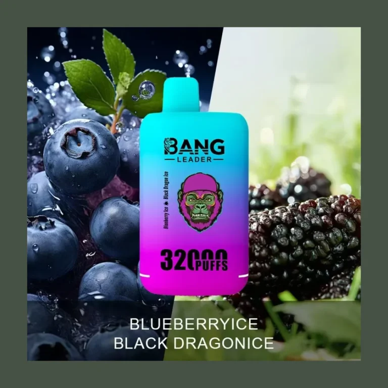 Bang Leader 32000 Dual Flavour wholesale – photo 3