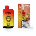 Bang Leader 45000 Dual Flavour image 2