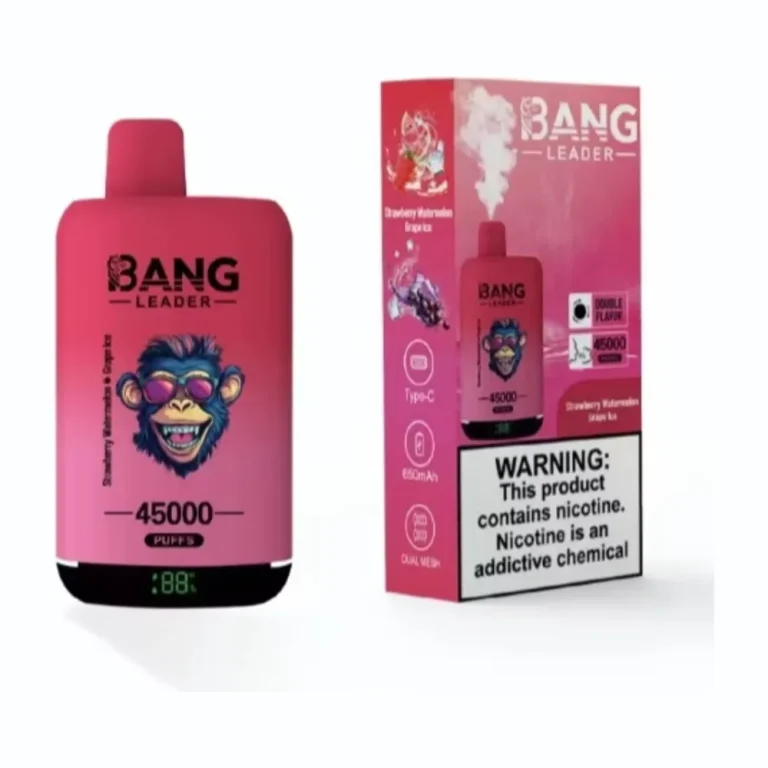 Bang Leader 45000 Dual Flavour wholesale – photo 4