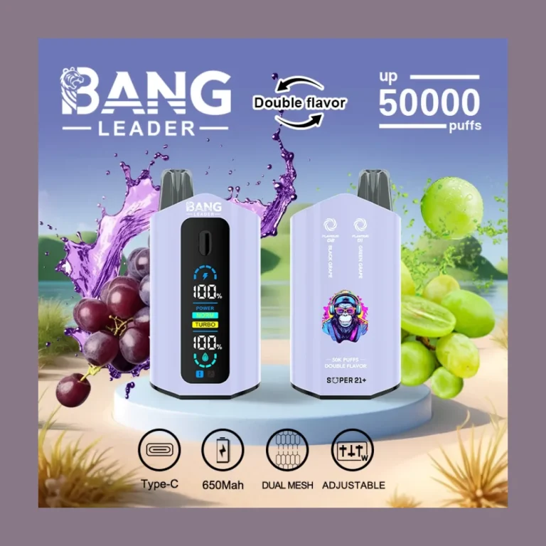 Bang Leader 50000 Dual Flavour wholesale – photo 3