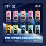 ETS Galaxy 30000 Dual Flavour image 2