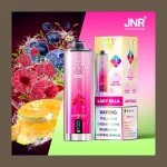 JNR Shisha Max 22000 image 1