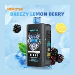 Merry Mi Blade 30000 10-Pack image 3