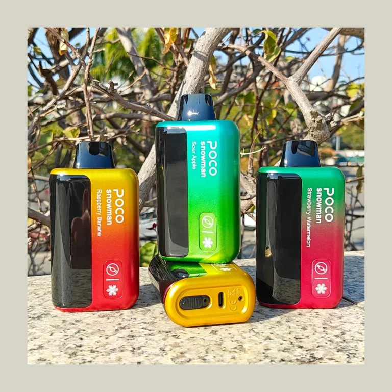 POCO Snowman 70000 wholesale – photo 2